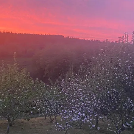 On Shannon Cleaheen Self Catering Σπίτι διακοπών *