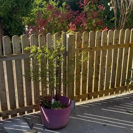 On Shannon Cleaheen Self Catering Casa vacanze *