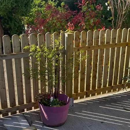 On Shannon Cleaheen Self Catering Holiday home *