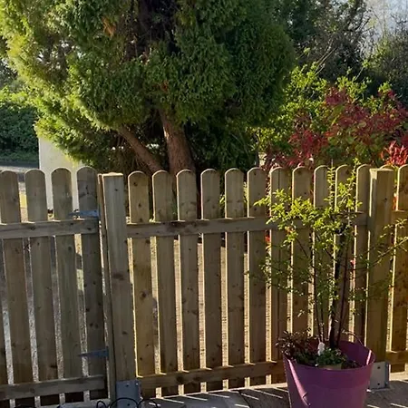 On Shannon Cleaheen Self Catering