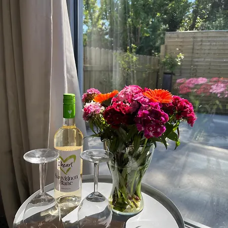 On Shannon Cleaheen Self Catering *