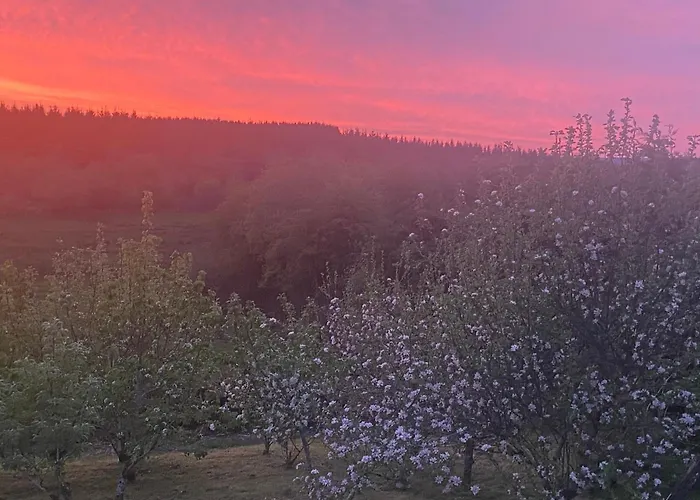 On Shannon Cleaheen Self Catering Prázdninový dům *